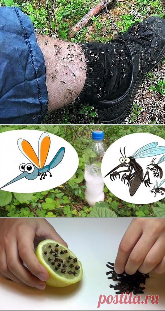 Одноклассники