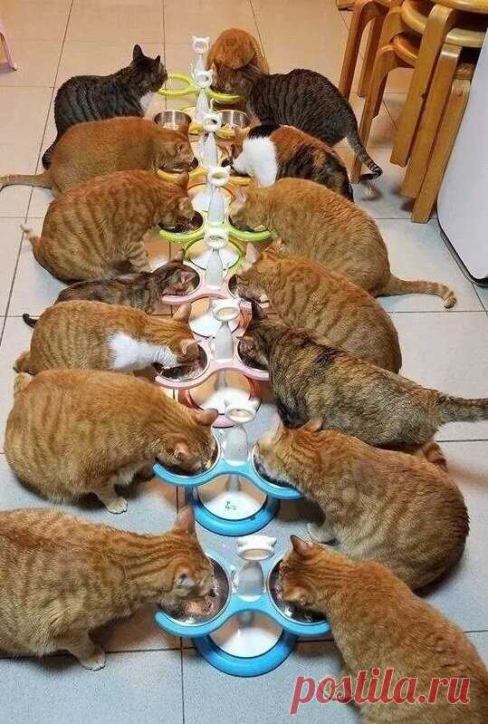 Гости пришли