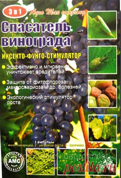Препарат Спасатель винограда, 3 амп.: купить оптом, цена 5 грн. - 7 Соток