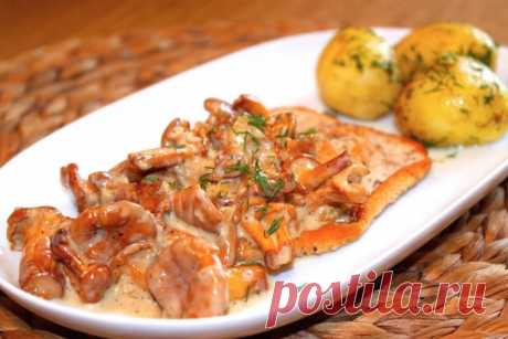 Отбивные из индейки с грибным соусом. 
Быстрый рецепт вкуснейших отбивных из индейки со сливочным соусом из ароматных грибов (лисичек).