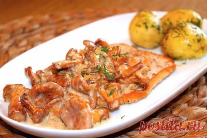 Отбивные из индейки с грибным соусом. 
Быстрый рецепт вкуснейших отбивных из индейки со сливочным соусом из ароматных грибов (лисичек).