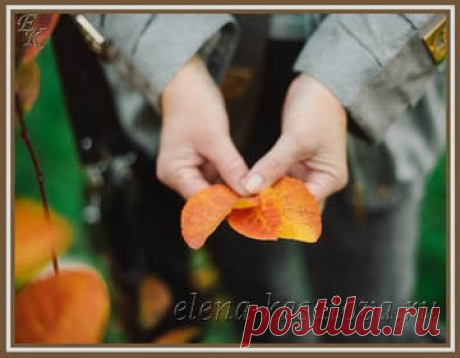 Осенняя пора, стихи