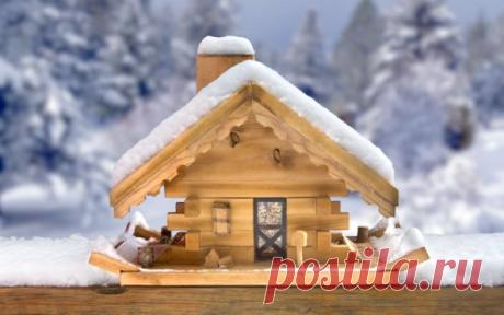 30 самых необычных кормушек для птиц