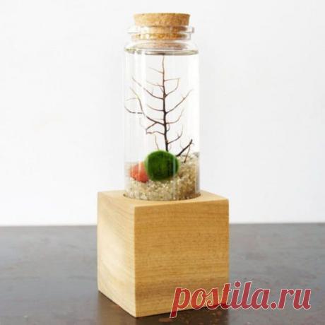 Миниатюрный аквариум как элемент декора