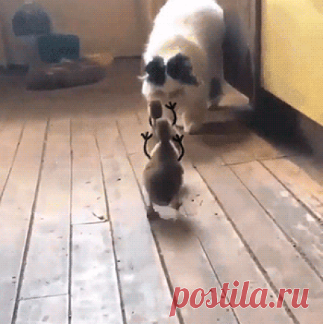 Веселые утята
