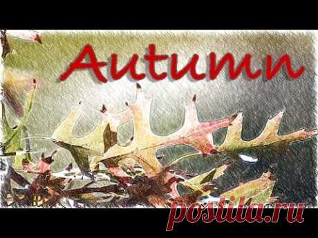 Tatreal «Autumn» . Музыка осени. Калейдоскоп - YouTube