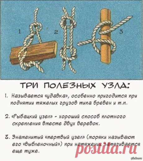 Сад, дача, огород, дом|полезные советы и рецепты