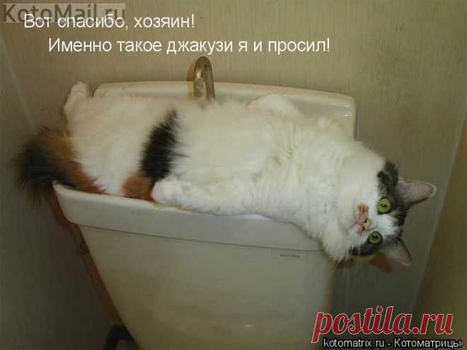 Джакузи. | KotoMail.ru