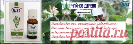 Натуральное эфирное масло Чайное дерево.Помогает справиться с умственной и эмоциональной усталостью. Обеспечивает ясность ума и способствует целеустремленности. Мощный антисептик, иммуномодулятор.