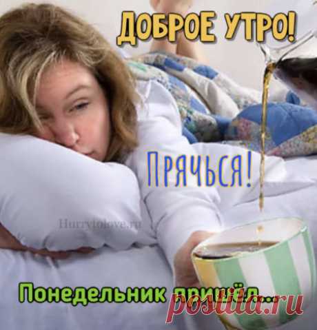 Картинки с понедельником: прикольные и смешные открытки с надписями