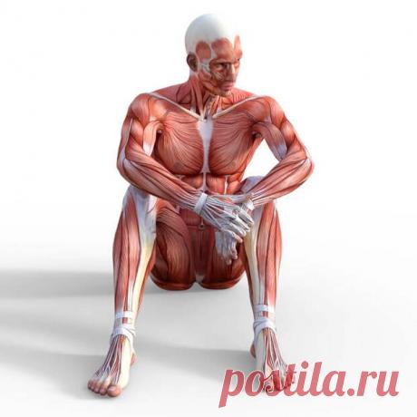 16-строчная формула цигун
16-строчная формула цигун была разработана Гун Цзючжуном, врачом, работавшим при дворе династии Мин несколько сотен лет назад, в книге, которую он написал по вопросу сохранения здоровья. Ее эффективность доказана практикой многих людей на протяжении столетий, и она получила высокую оценку экспертов по вопросам сохранения здоровья. Формула гласит следующее: Вода прилива защищает вас от будущих проблем; […]
Читай пост далее на сайте. Жми ⏫ссылку выше