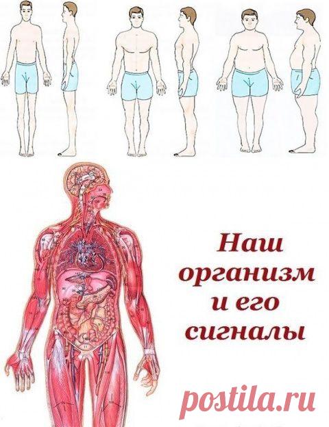 Телосложение и болезни