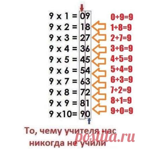 Маленькие хитрости | Группы Мой Мир