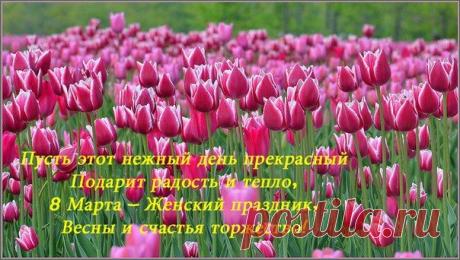 Надежда Владимировна