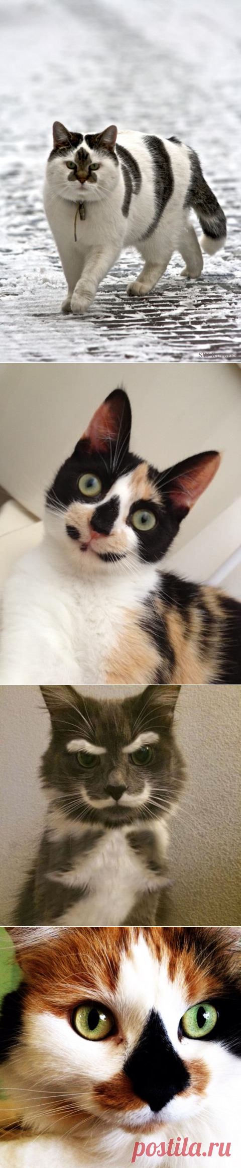 Природа-шутница :)