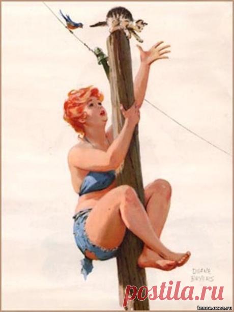 67