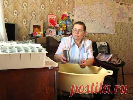 стаканчики для рассады