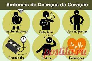 ► O que é o coração | ►edihitt...agregador
