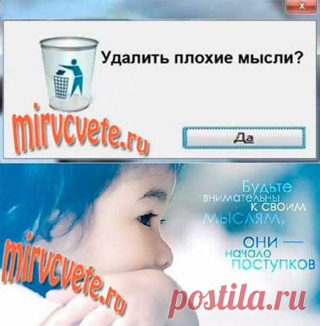 «Диета» от негативных мыслей | Мир в цвете: позитивное мышление, истории успеха, вдохновение