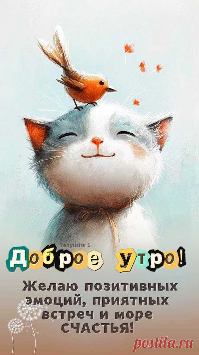 Доброе утро (открытка 1539): Бесплатные картинки &#8226; Открытки Топ