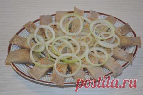 Уже давно не покупаю соленую селедку: всегда солю сама. Получается вкуснее, чем в магазине! | Все будет вкусно! | Яндекс Дзен