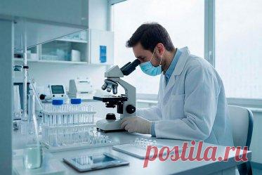 Скрытые воспалительные процессы в организме: какие анализы сдать. Какие анализы крови покажут затаившееся в теле воспаление?