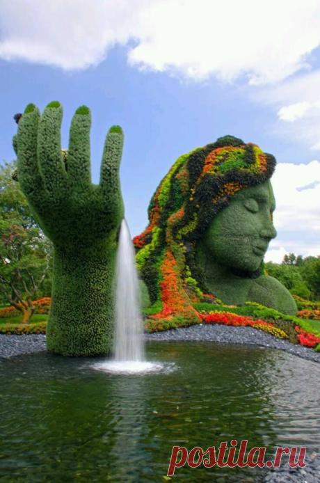 (32) Interesting Amazing World