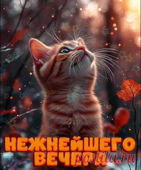 Осенняя открытка доброго вечера нежного