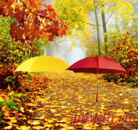 Фото Без названия. Альбом Фото группы - 50 фото. Фотографии Мысли вслух - Улыбка сердцем.