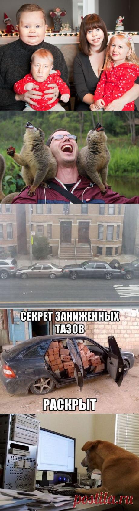 фото приколы