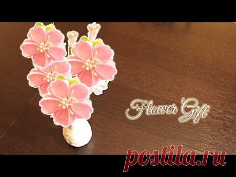ЦВЕТЫ КАНЗАШИ видео | Канзаши Мастер Класс | Цветы из Лент | KANZASHI