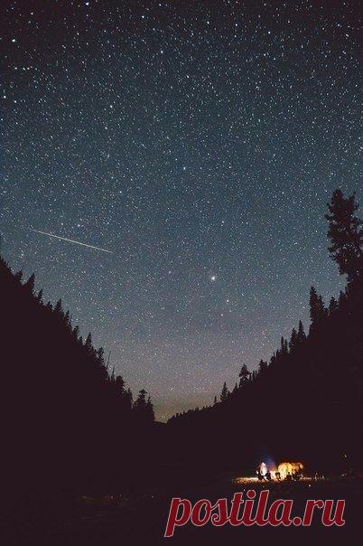 Прекрасная ночь... / Солнышко