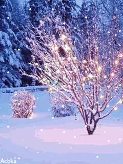 1202405.gif (240×320)