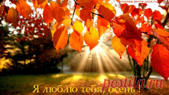 Пойдем  гулять  по  солнечным  аллеям, 
Туда,  где  хороводит  Листопад, 
Где  обязательно  душа  теплеет 
И  лучезарнее  сияет  взгляд, 
Где  птицы,  гомонливою  толпою 
Уносят  вдаль  прощальный  тихий  крик  ... 
Мы  на  удачу  им  махнем  рукою - 
Пускай  летят.  До  встречи  !  До  весны  ! 
И  соберем  себе  букет  из  листьев, 
Частичку  осени  внесем  в  наш  дом, 
Как  отблеск  торопливых  мыслей 
О  нашем  настоящем  и  былом.