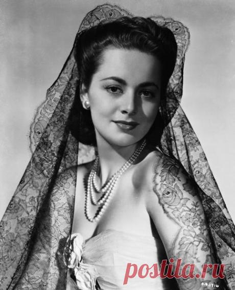 Кружево Шантильи.: la_gatta_ciara