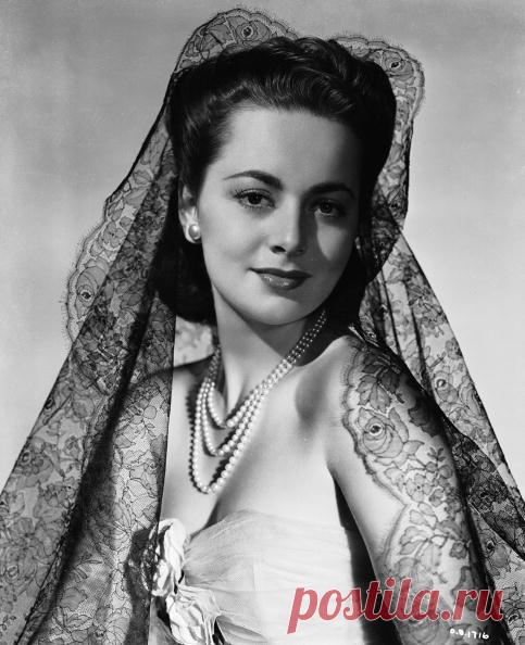 Кружево Шантильи.: la_gatta_ciara