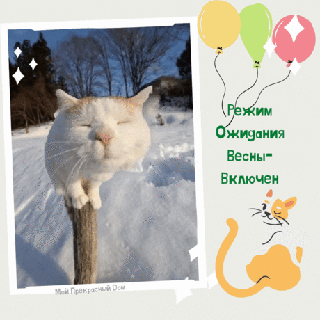 Режим ожидания весны — включен  
#весна #мойпрекрасныйдом