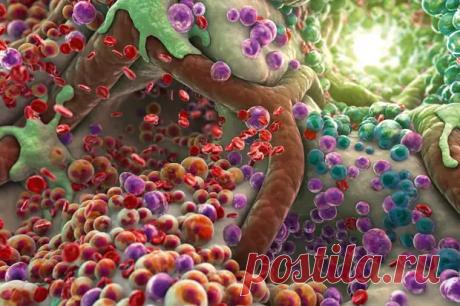 Как клетки понимают, что одни должны стать волосами, другие костями, третьи мозгами и т. п.? - ПолонСил.ру - социальная сеть здоровья - 5 февраля - 43184802309 - Медиаплатформа МирТесен