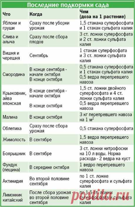 Назаметку