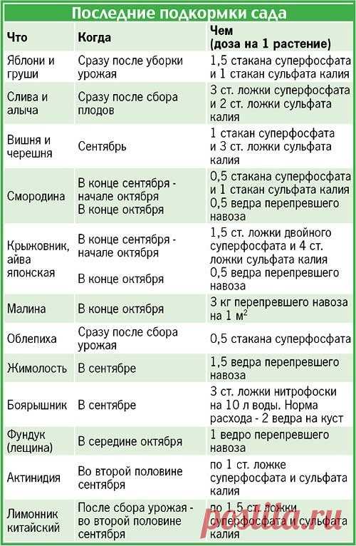 Назаметку