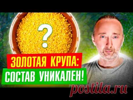 ПШЕНО - самая полезная КАША: снимает отёки, выводит антибиотики из организма, укрепляет зубы и кости