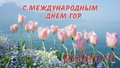 С днем гор поздравим всю планету,
На ней немало разных гор,
И кто красу тех гор увидит,
Тот будет очень поражен.