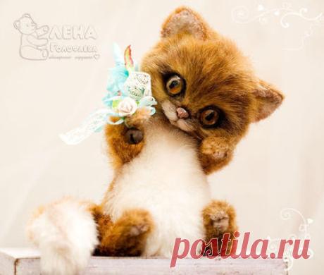 Купить Кот :) - тедди, кот тедди, искусственный мех, синтепух, древесная стружка