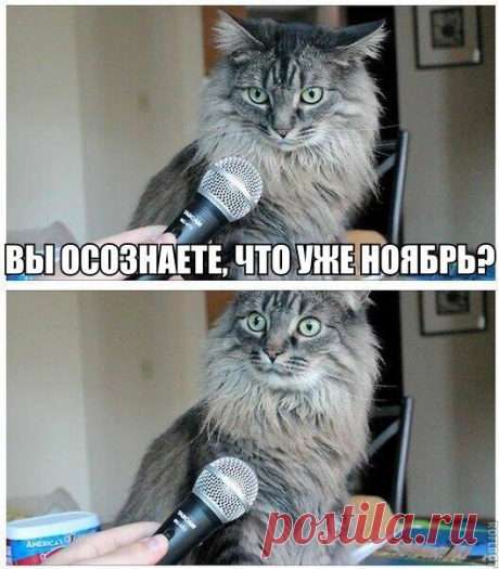 Осторожно! Пропаганда материализма, атеизма, индивидуализма и интеллектуального развития личности.