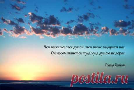 Великолепные рубаи Омара Хайяма