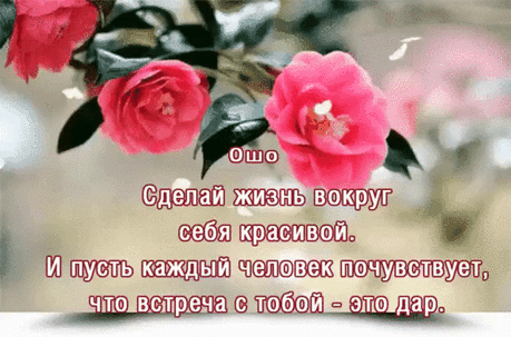 ~✽~"Жизнь — это встреча. "