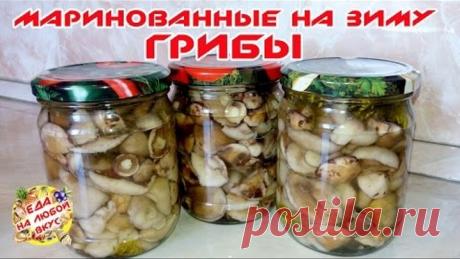 МАРИНОВАННЫЕ ГРИБЫ НА ЗИМУ | МАСЛЯТА И ДРУГИЕ