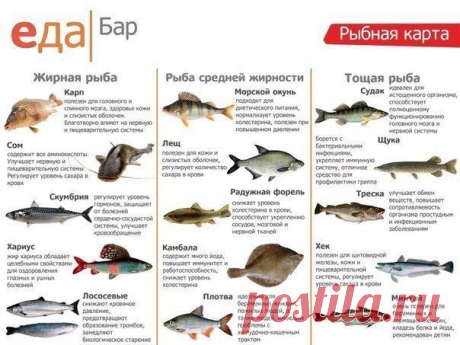 Полезная рыбка - на заметку! | Четыре вкуса