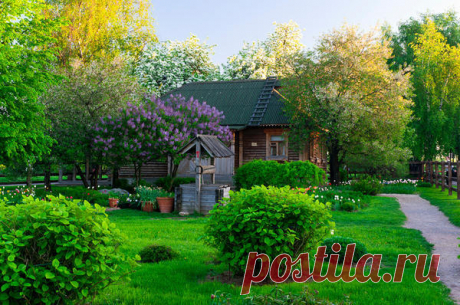 Сад в стиле русской усадьбы