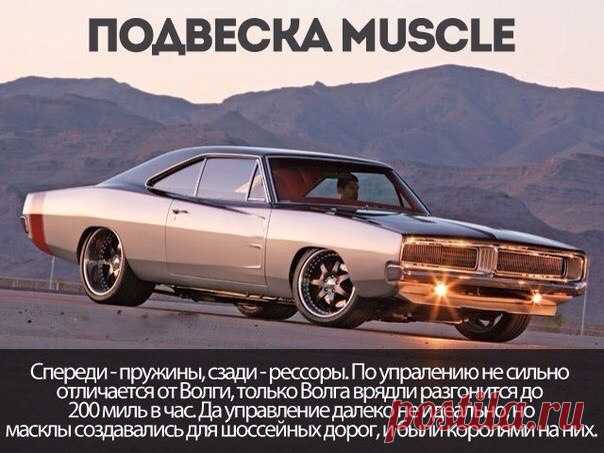 Интересные факты о Muscle Cars / Только машины